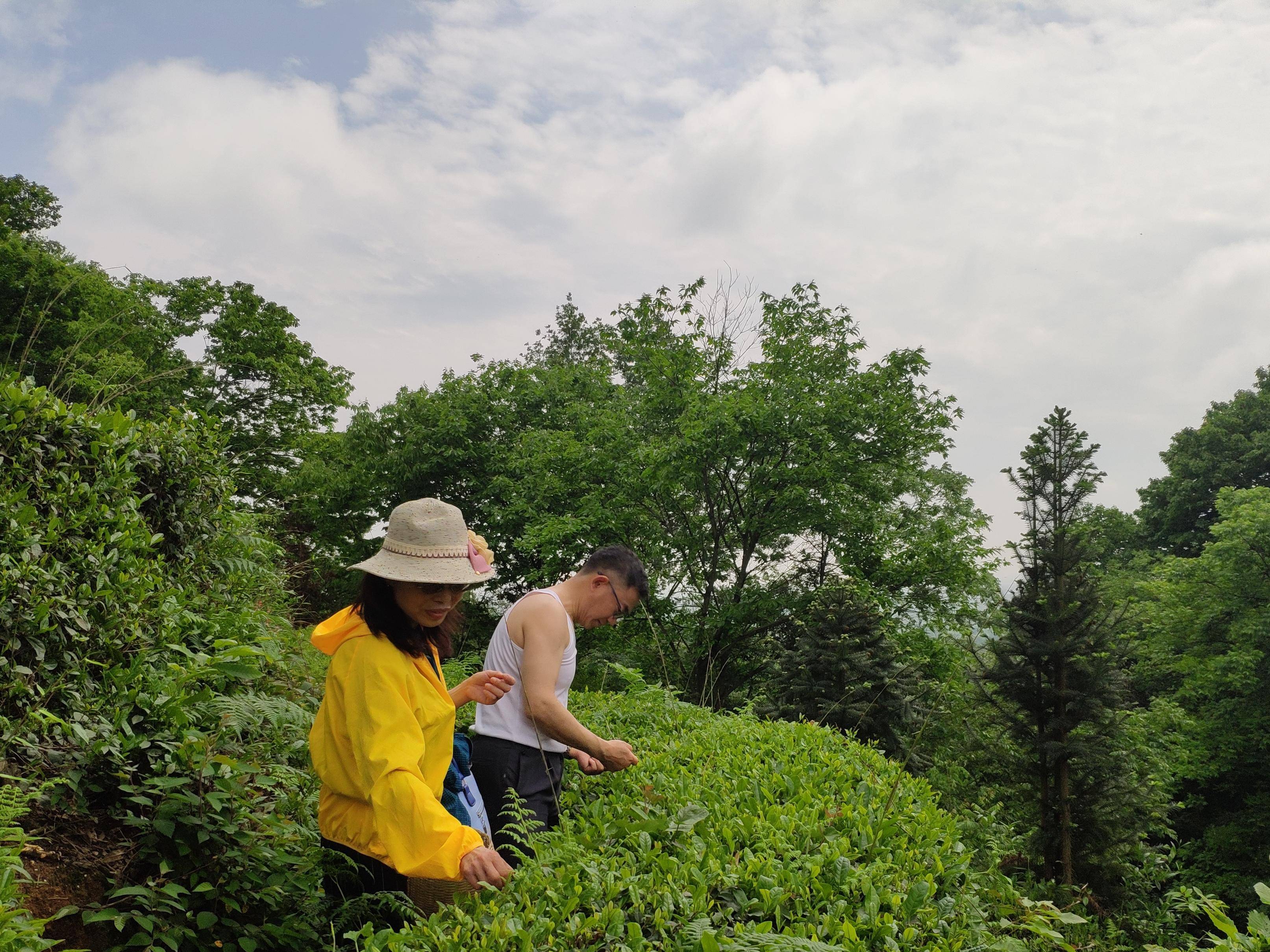 搜索 - 封面新闻