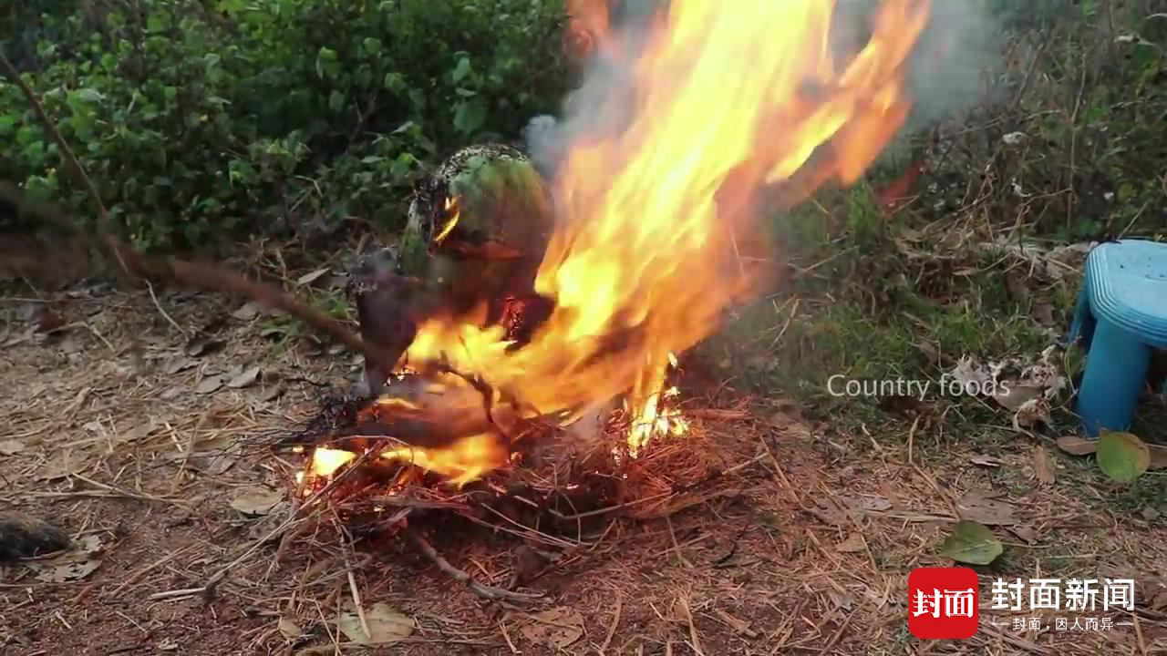 烧烤西瓜吃过没？ 印度106岁老奶奶凭做乡村美食成网红（组图） - 6