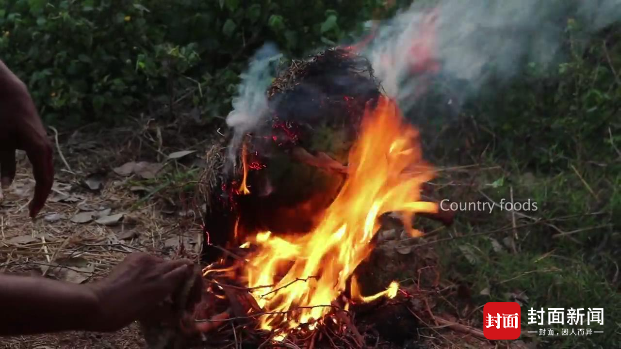 烧烤西瓜吃过没？ 印度106岁老奶奶凭做乡村美食成网红（组图） - 7