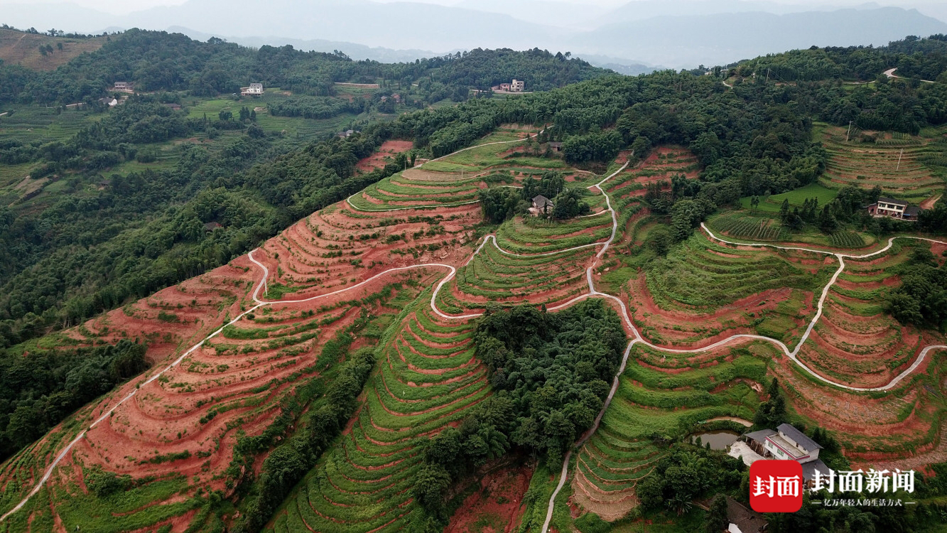 天生活数十年 泸州会龙村如今依靠土地信托挣钱