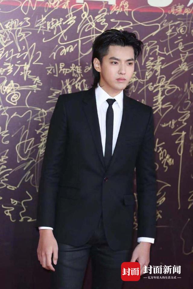 第十七届中国电影华表奖完整名单:吴京陈瑾获