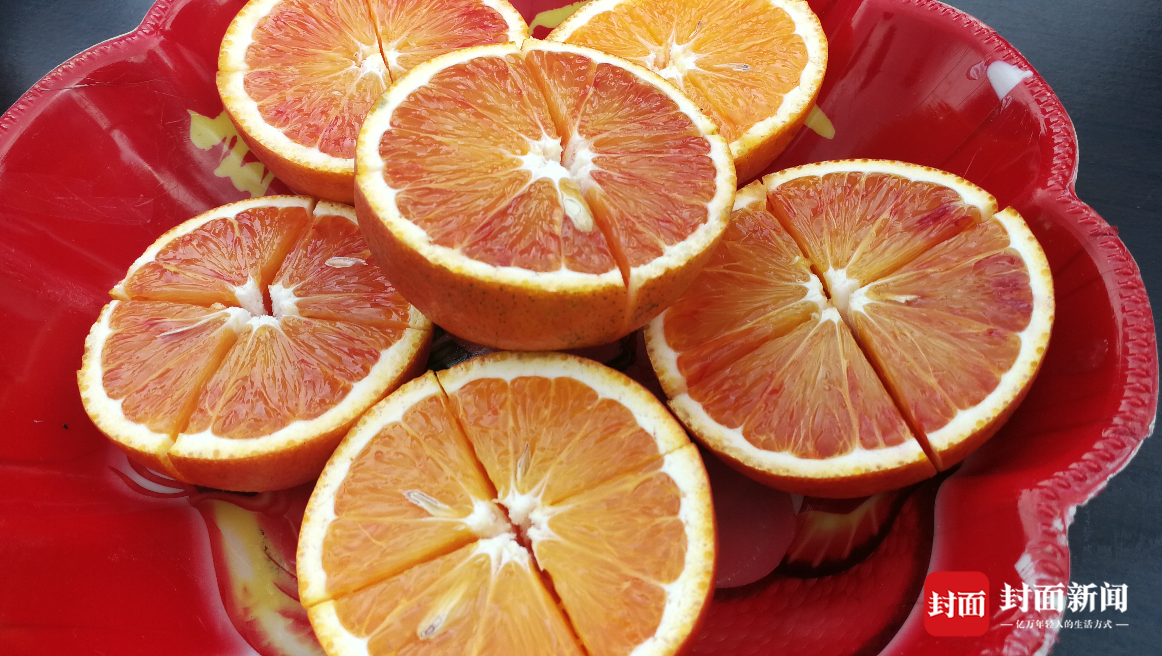 预计2022年末 资中血橙全产业链将达100亿元