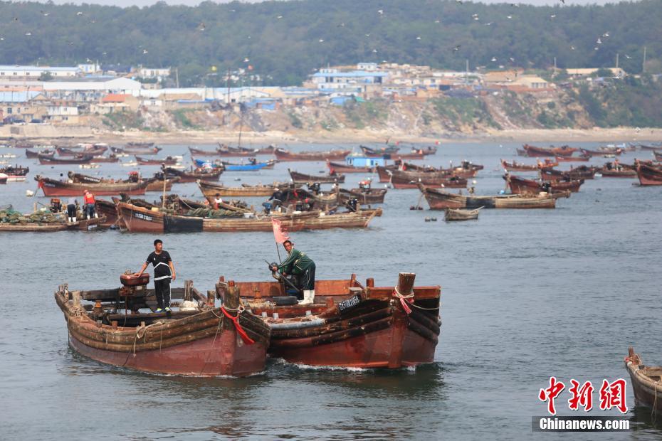 当日,中国黄渤海休渔期结束,黄渤海渔区渔船可出海捕鱼,秋汛渔业生产