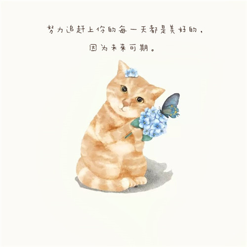 希望以后,你能活得很开心.展望当下,过好自己的生活吧!