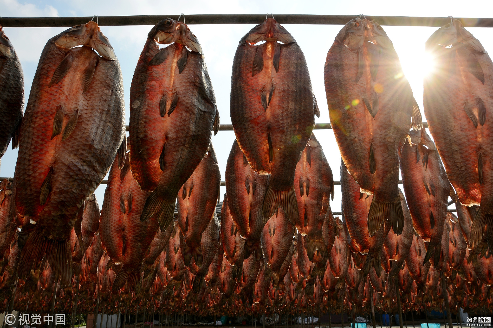 无头咸鱼干 咸鱼干 黄花鱼干 海鲜干货 500g 有价有量 货源充-阿里巴巴