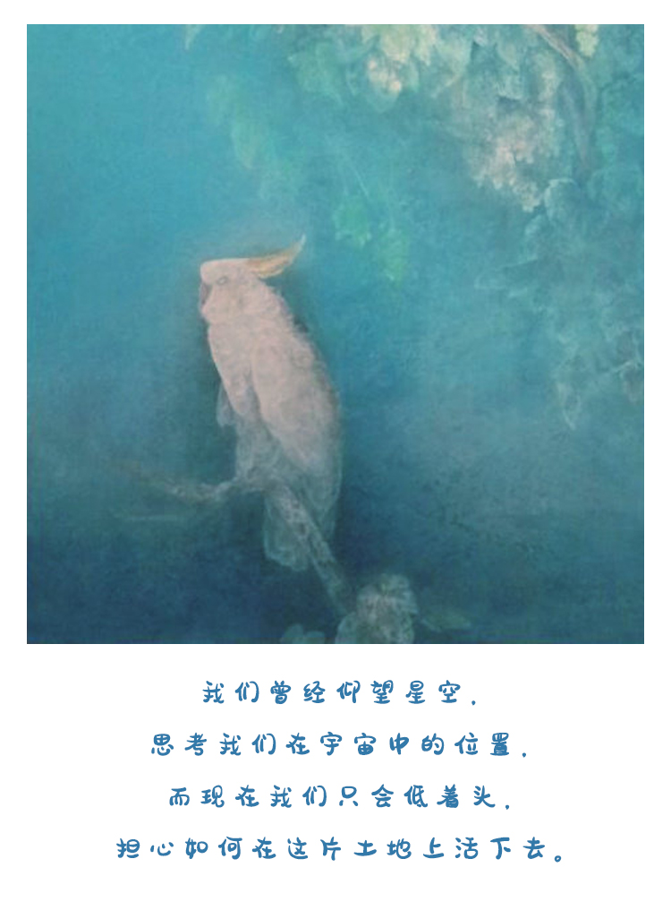 晚安丨一举一动都是承诺 会被另一个人看在眼里,记在心里的
