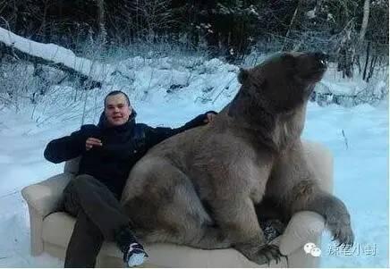 两名俄罗斯人把棕熊打成重伤?假的