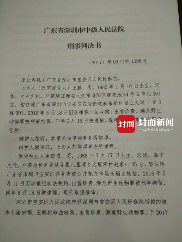 深圳"鹦鹉案"终审宣判 售养者刑期5年变2年