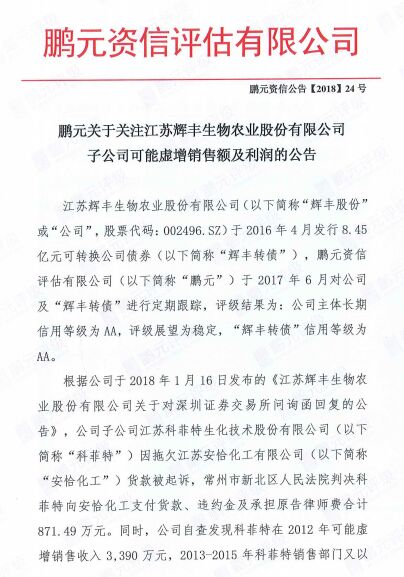 资信证明_鹏元资信 收入(3)