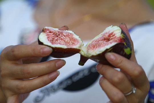 威远农业BOT 无花果突破了本地市场空白