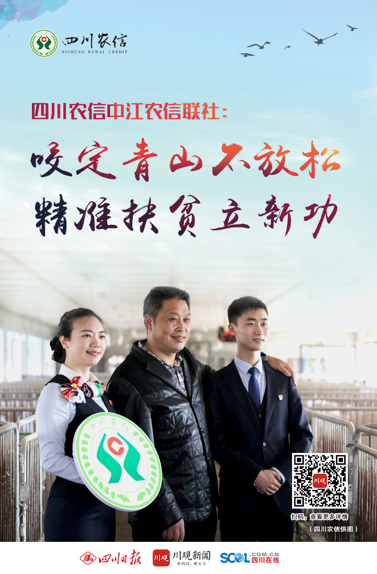 党旗在脱贫攻坚一线高高飘扬四川农信五级书记抓脱贫攻坚的实践二