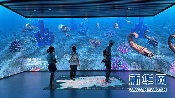 奇遇贵州海底世界探访贵州省地质博物馆