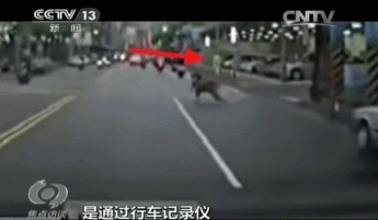 先给大家看一看这些