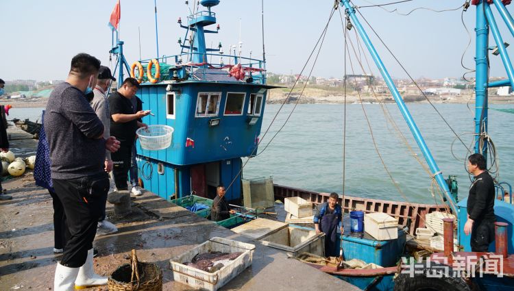 青岛沙子口南姜码头休渔期最后一天渔船归港市民买海鲜挤得水泄不通