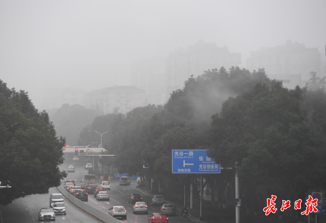 大雾又来了!武汉市气象台刚刚发大雾预警信号