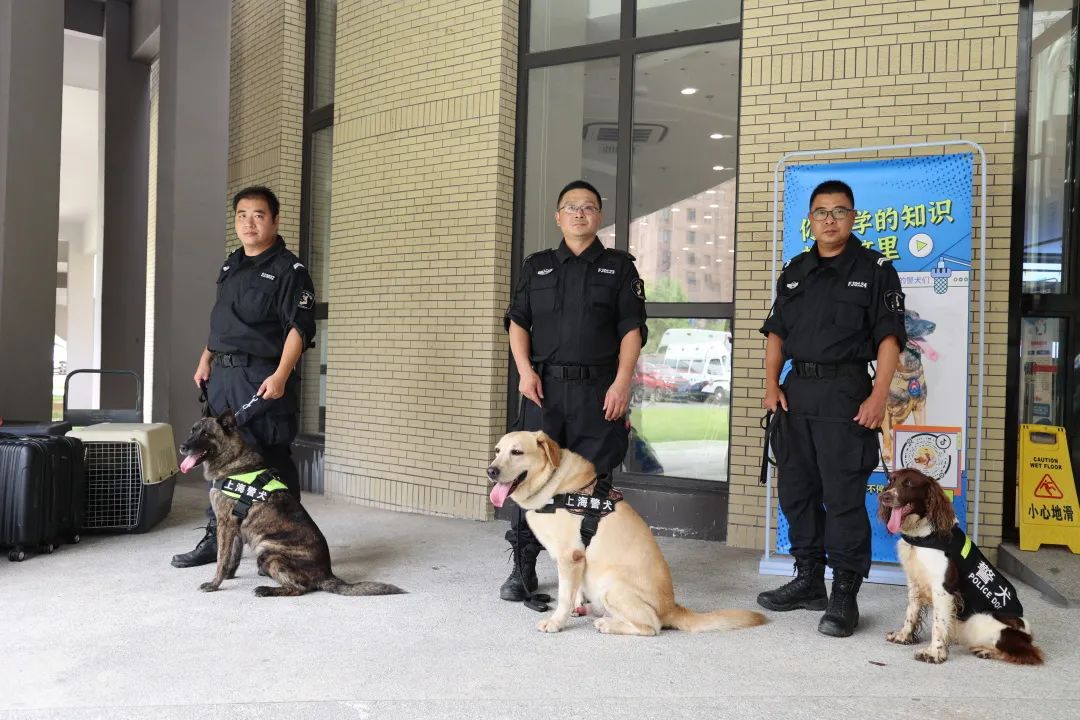 引得观众们驻足围观也来到活动现场助阵松江公安警犬基地的"网红警犬"