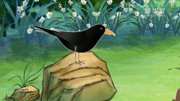 公益微视频丨还记得那只喝水的乌鸦吗