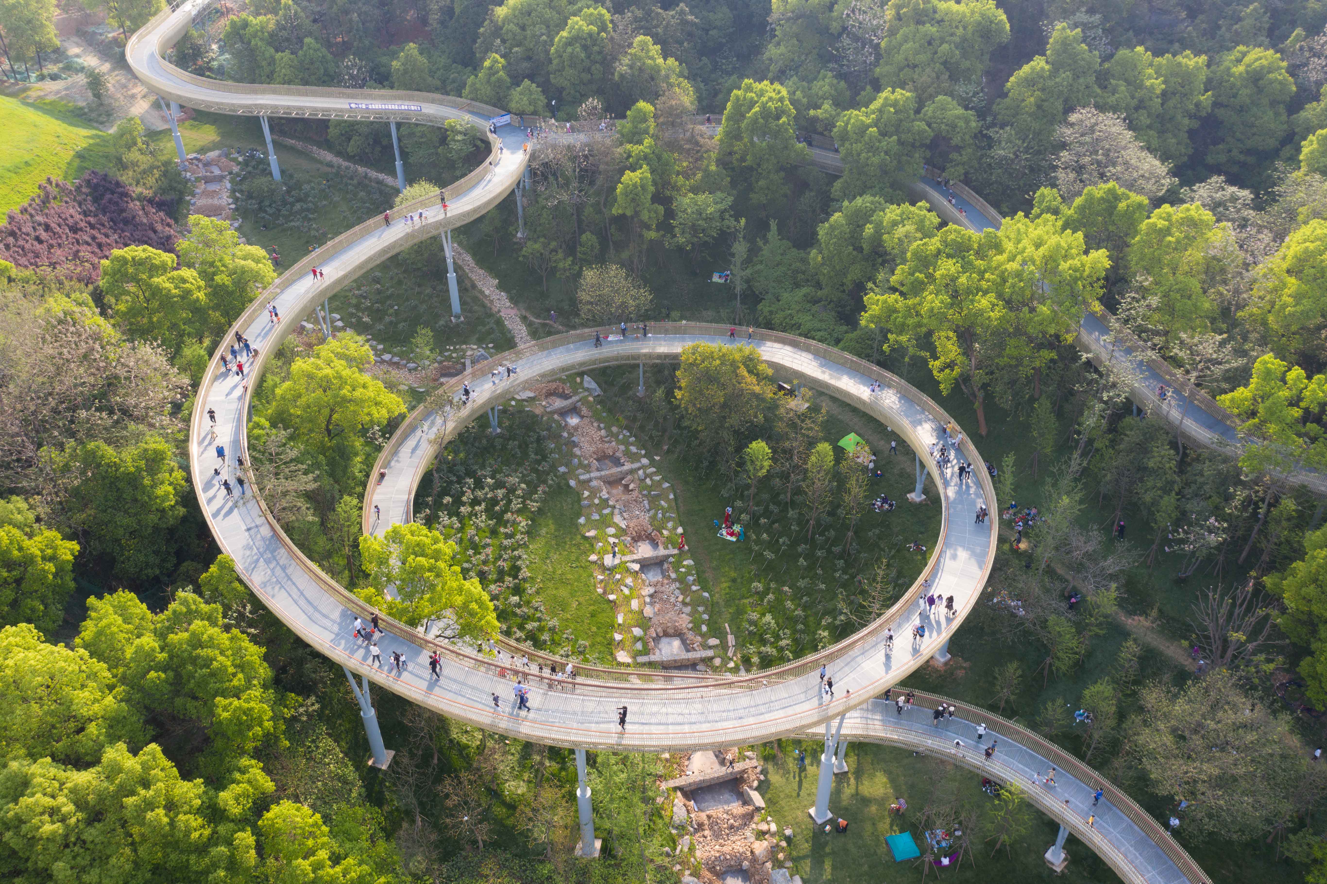 南昌天空中的森林步道