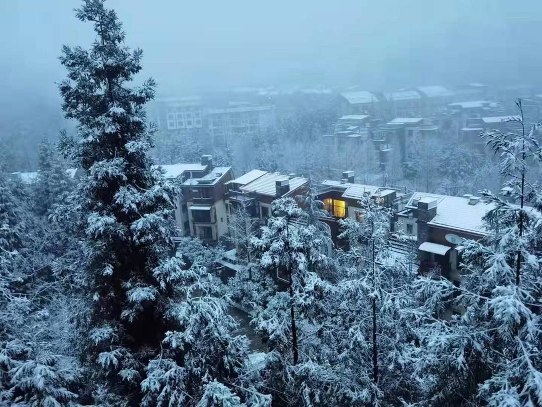 白雪皑皑银装素裹洪雅多地下雪实景图来啦