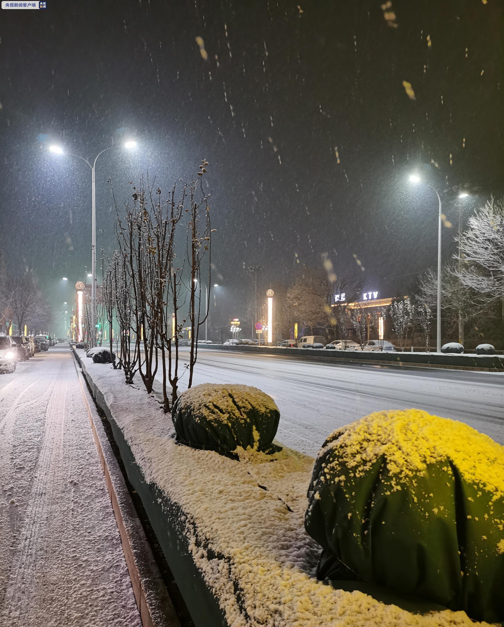 北京多地雪花飘预计今天前半夜降雪停止