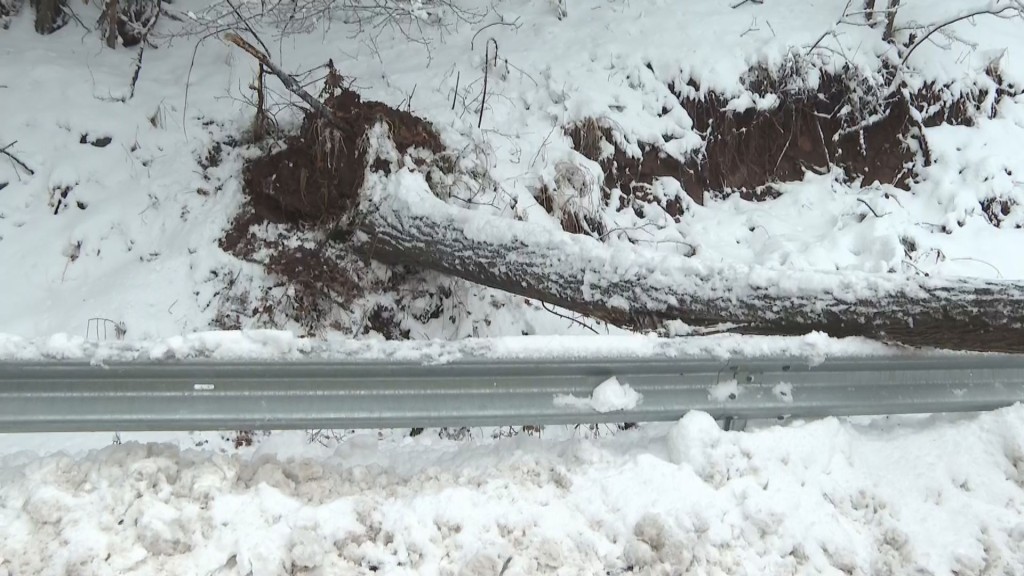 保加利亚西北部出现暴雪天气部分道路封闭