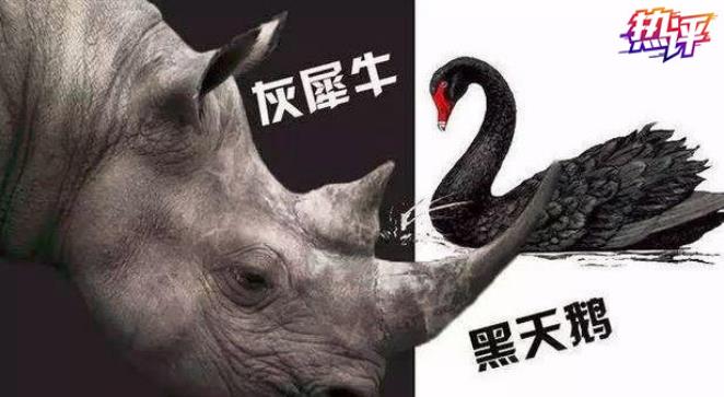 黑天鹅,灰犀牛,世界面临百年未有之大变局,它们之间有什么内在关联?