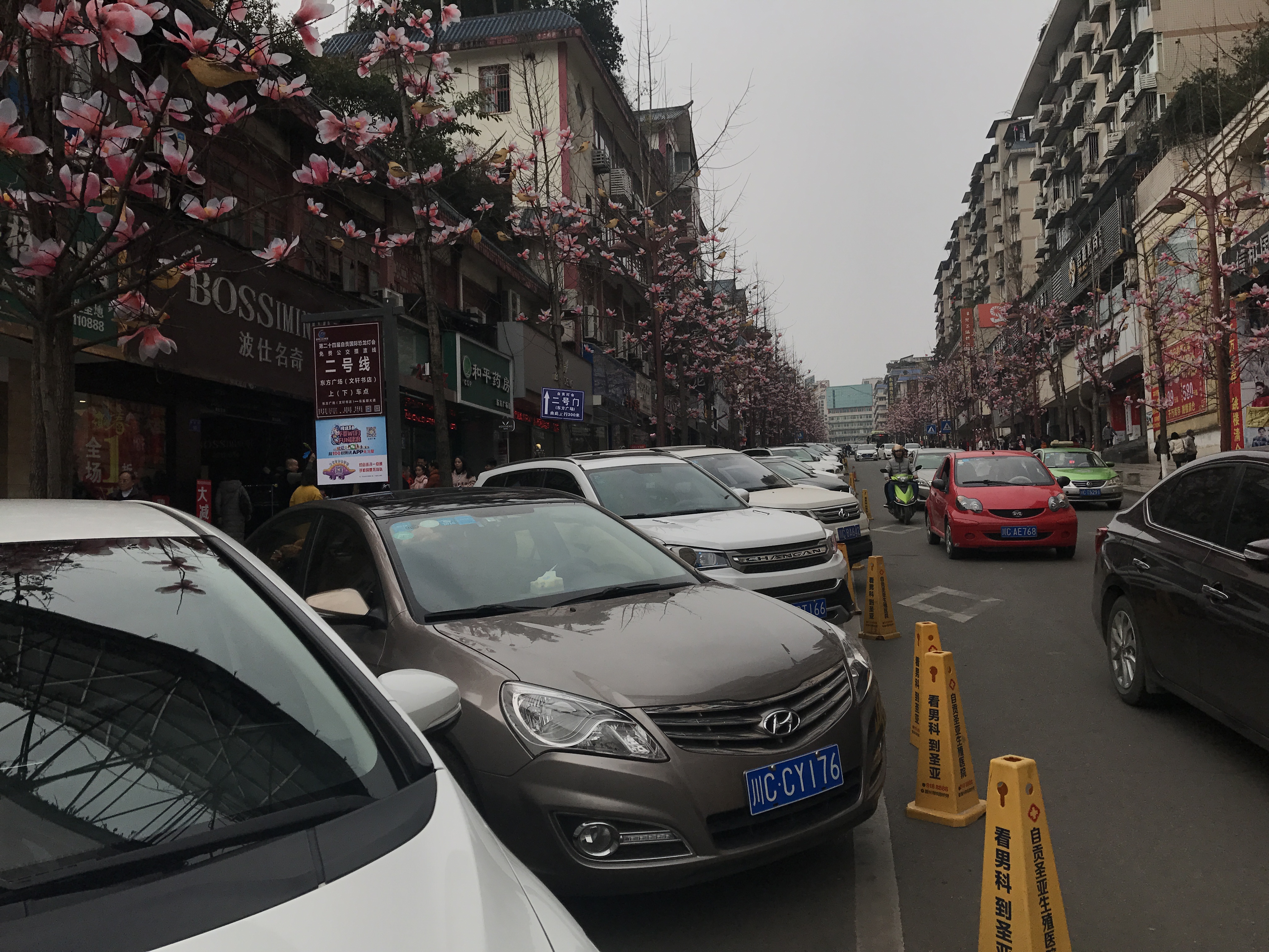 来自贡观灯如遇停车乱收费 可电话举报投诉