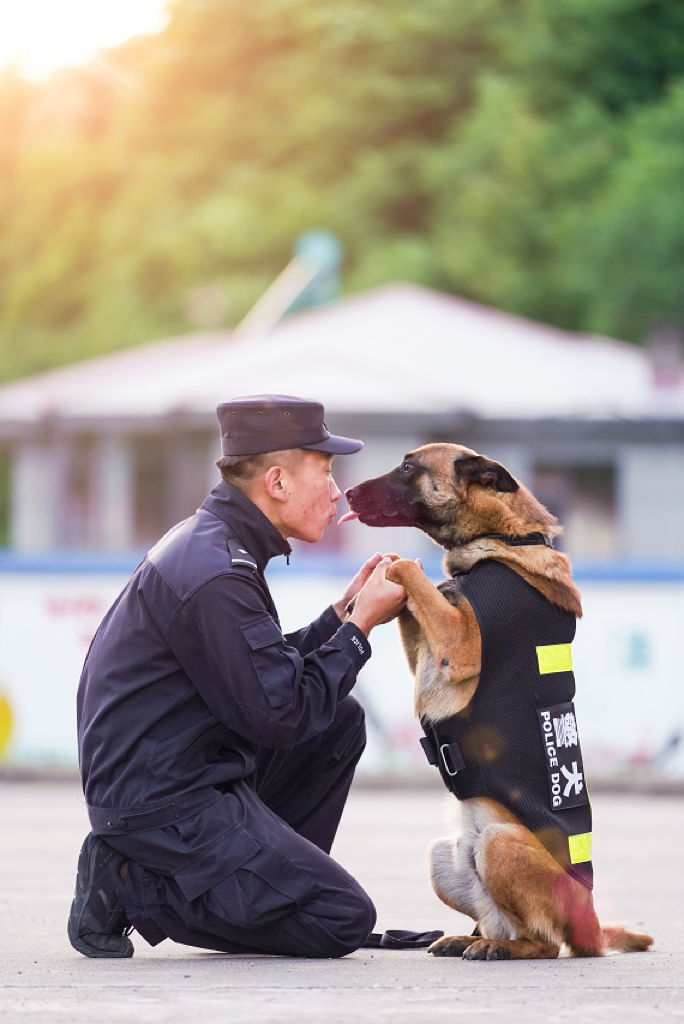 警界奇兵警犬训导员和无言的战友