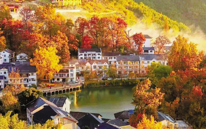 好一幅富村山居图临安指南村现村落景区新景象