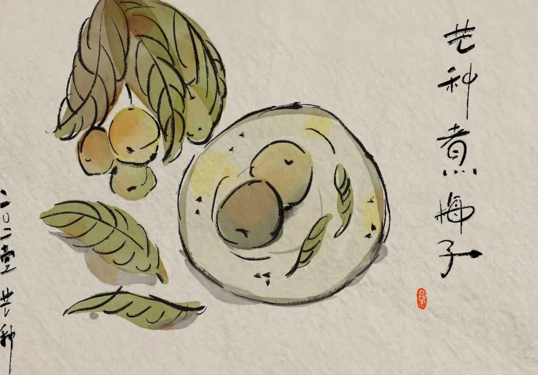 手绘丨芒种时节,忙有所得