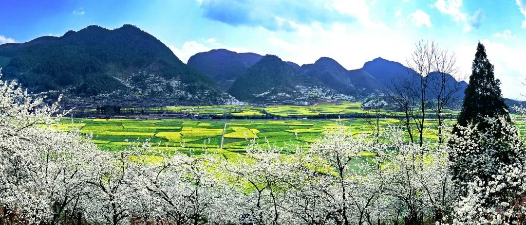 3月8日贵定金海雪山见动静现场直播