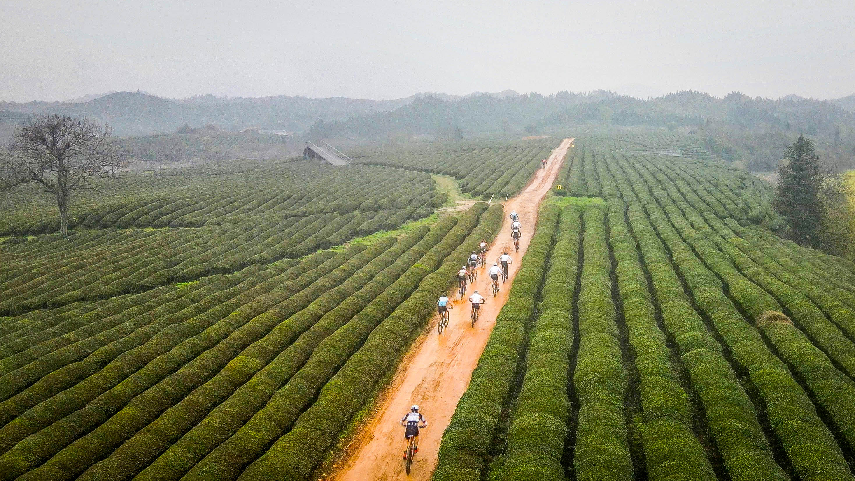 骑行在茶园密林间珍珠山山地自行车越野挑战赛落幕