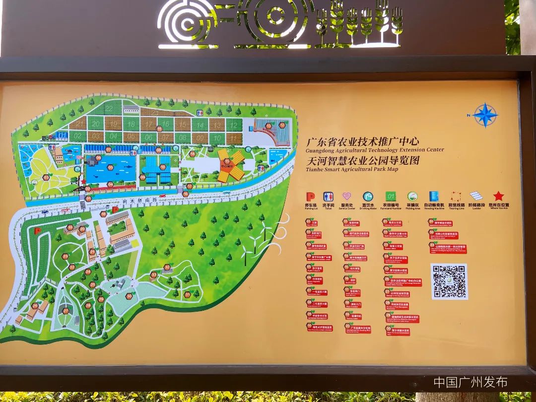 隐藏在天河里的开心农场太好玩了