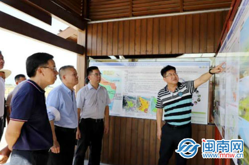 让凌波仙子焕发新活力漳州市领导到水仙花海调研