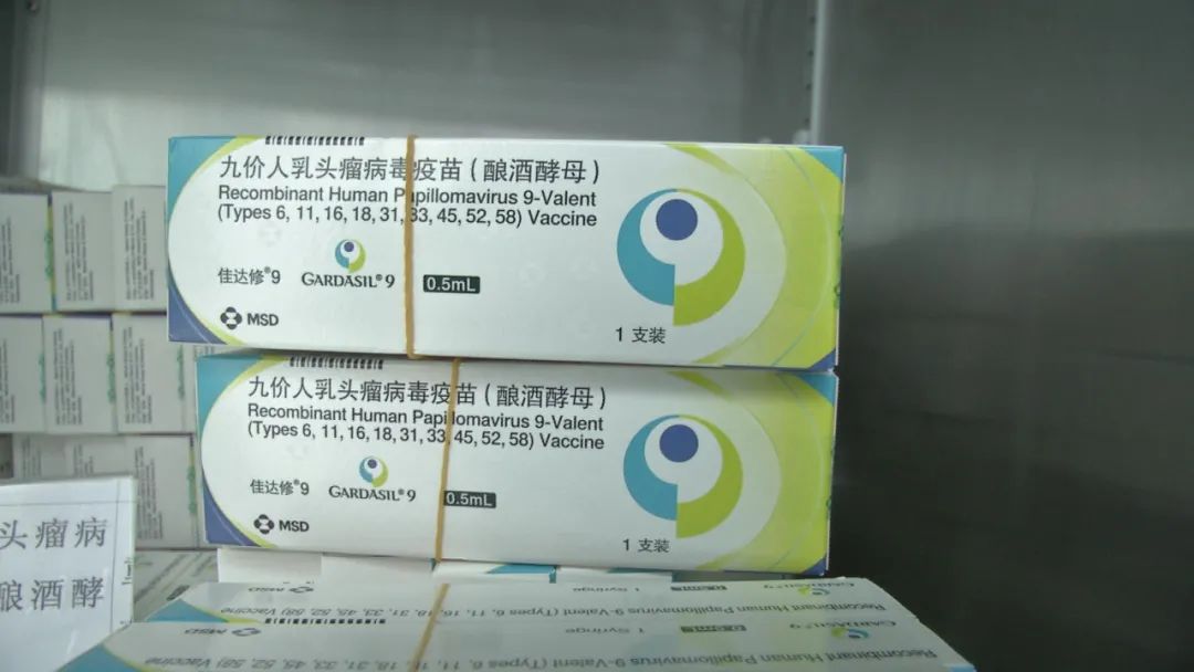 本次共计提供预约四价hpv疫苗3500支,九价hpv疫苗4500支,需要特别