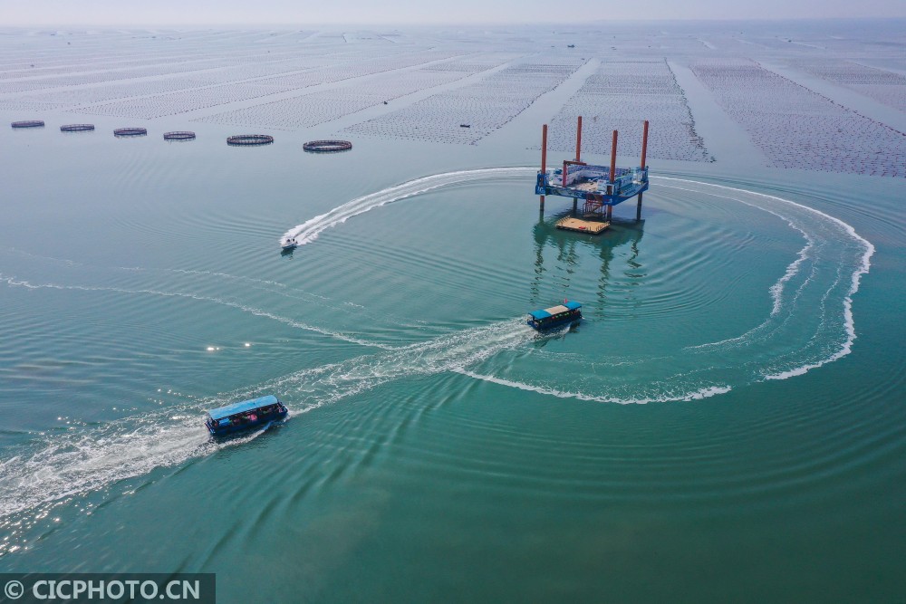 2021年4月11日,在山东省荣成市爱伦湾海洋牧场,游客们乘船前往海上