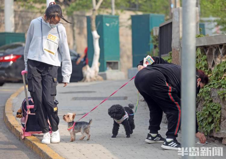 优美的广场和海泊河公园吸引了不少市民来散步,其中不少人前来遛狗