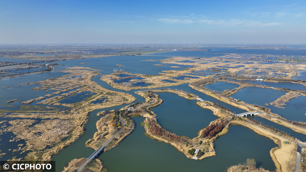 以上图片:2021年12月18日拍摄的江苏省淮安市洪泽区境内的白马湖湿地.
