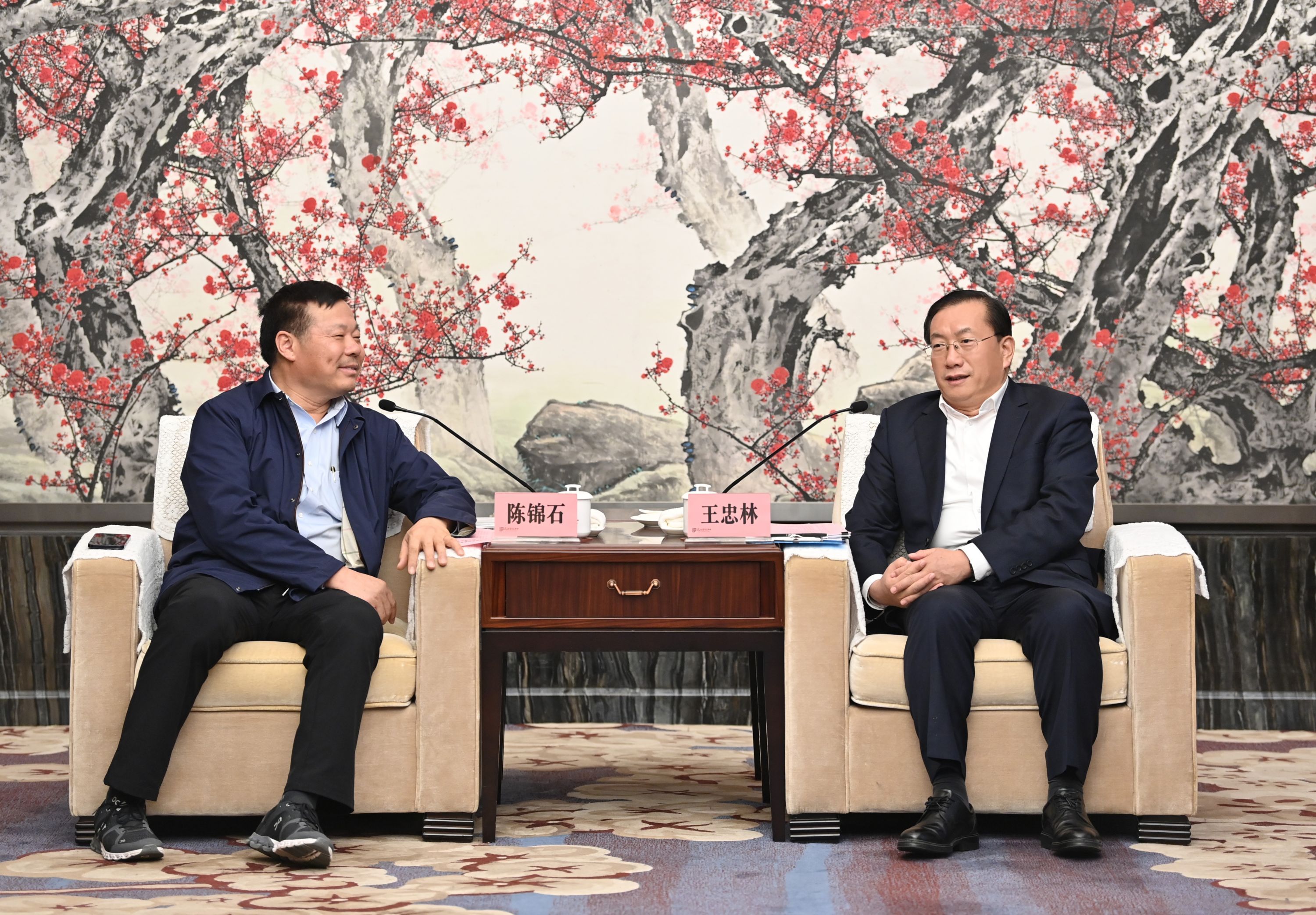 王忠林程用文与中南控股集团董事局主席陈锦石座谈