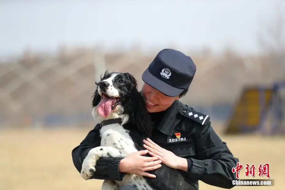 中国刑警学院竞售54只淘汰受训犬淘汰理由萌翻网友