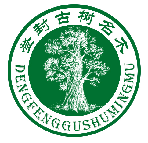 穿越千年感受登封古树古村古韵