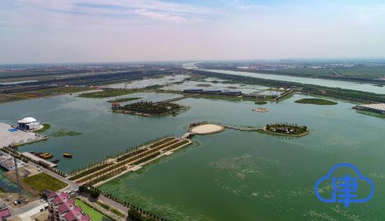 津云镜头碧波浩渺荷莲斗艳曙光水镇生态乐园