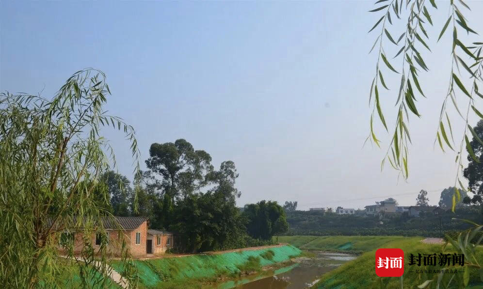作为一名来自基层的全国人大代表,四川省眉山市丹棱县齐乐镇龙鹄村