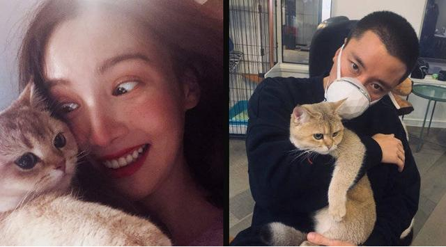 疑似贾乃亮金晨恋情曝光,吃瓜网友不淡定了