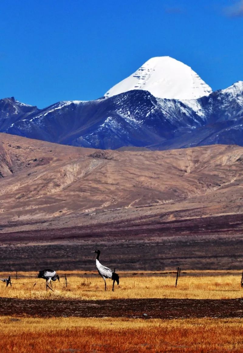亲爱的,我们去一场西藏吧