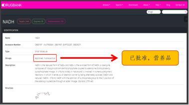 科普向| NADH的前世今生