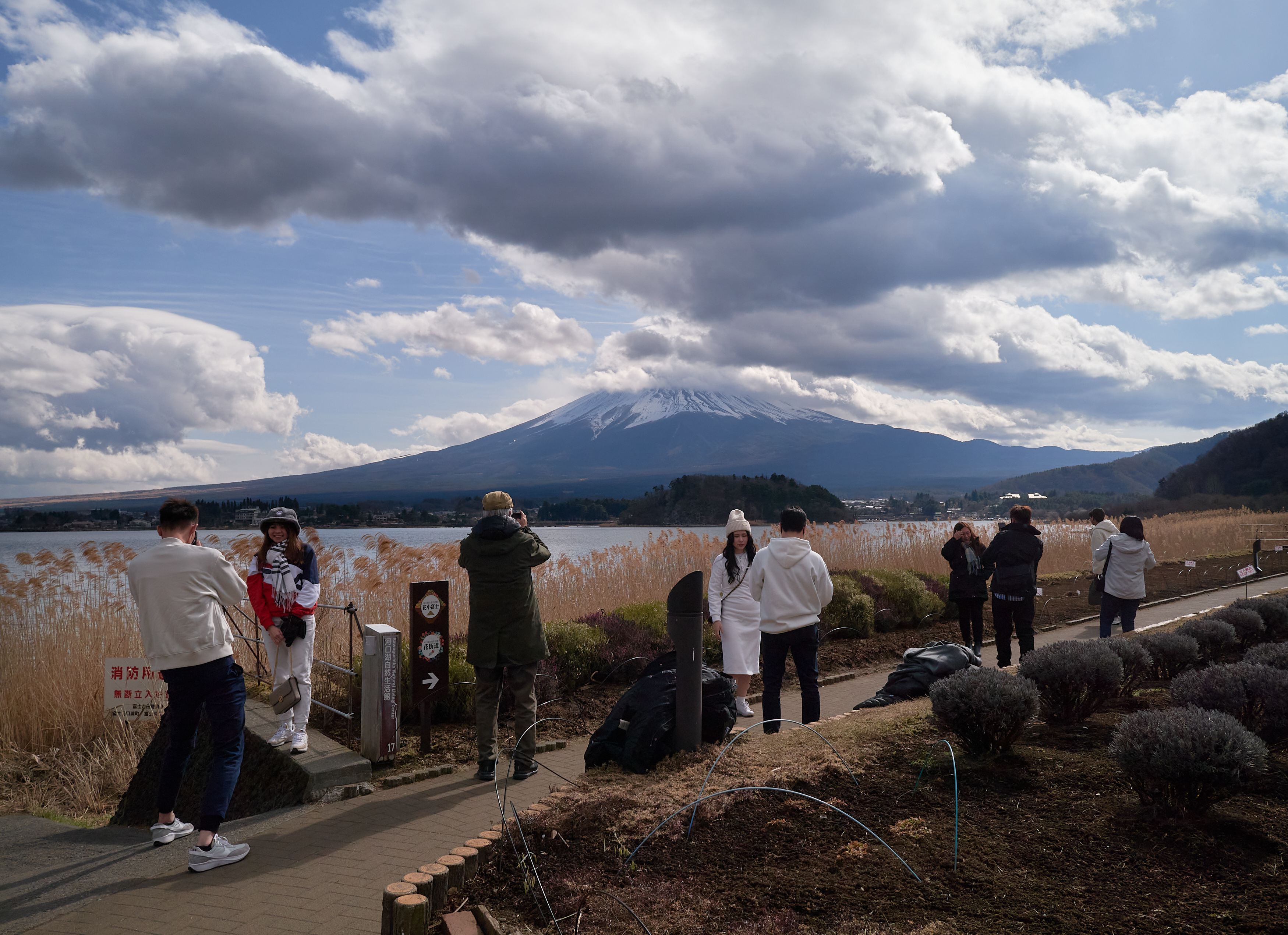 遮挡富士山景黑网遭破坏 - 封面新闻
