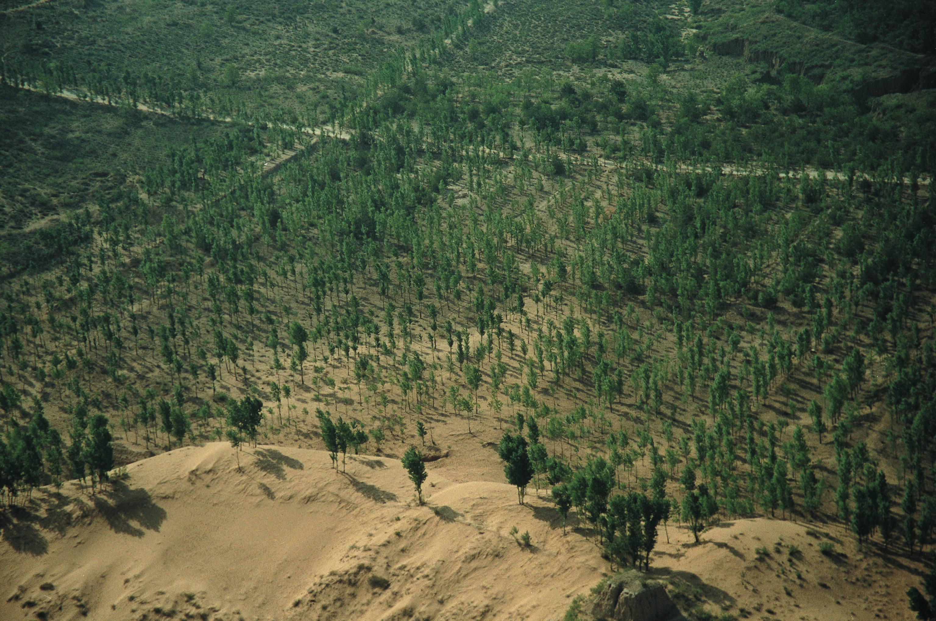 国家林业和草原局局长:我国荒漠化土地面积已连续十多年净减少