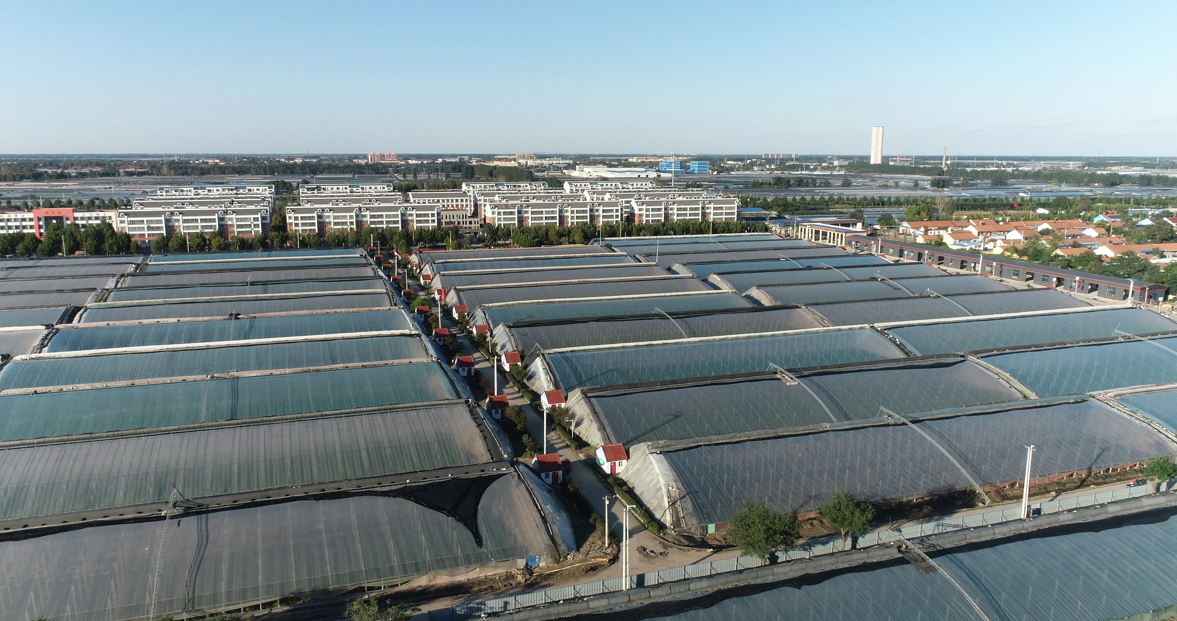 春耕备耕春天也可以是收获的季节山东寿光崔岭西村走访记