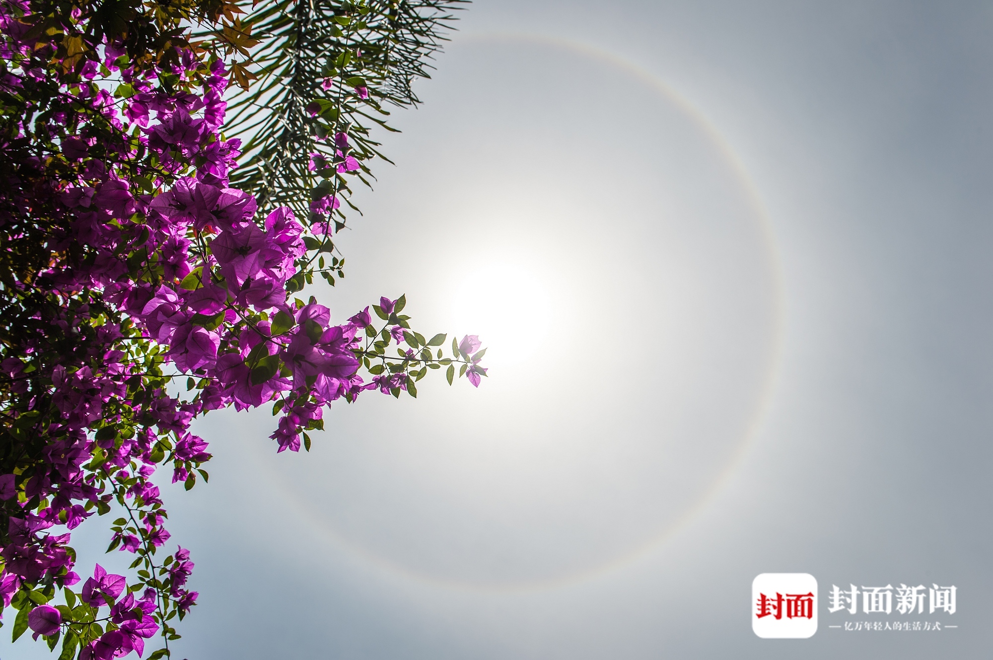 乐山太阳戴上"美瞳"当地人朋友圈刷屏了! - 封面新闻